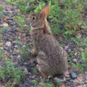 Meet your Posher, Dana